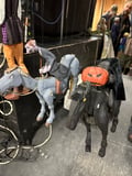 store/u/169005a0-4b93-4ae3-927d-56226cd17f99_75.jpg