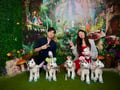 store/u/30b29ae1-8489-4a68-bbfc-94b5446c5465_133.jpg