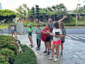 store/u/381991ab-c703-45bc-bdb9-9aea1b70a76b_133.jpg