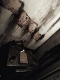 store/u/3b81b950-e4e2-4c50-98b9-434e3fdce557_75.jpg