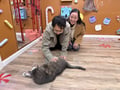 store/u/58fcf2e9-d837-4c48-8494-322b5bcb7e9b_133.jpg
