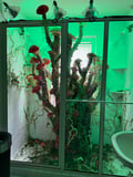 store/u/7a379a5f-e9c4-4746-927f-db32bd72b363_75.jpg