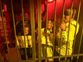 store/u/88096ca1-38b0-4bfe-a106-ad78f20a494f_133.jpg
