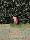 store/u/b2409b19-46fc-44db-a5a6-1d0a9cc1ec73_75.jpg