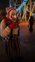 store/u/b6b44062-4044-47c8-b56d-6dc7ae017417_56.jpg