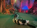 store/u/ba26dbda-6128-431a-a89d-e3c68d807c06_133.jpg