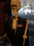 store/u/c379d73f-d75c-45f5-8b4c-be68f3a4d09a_75.jpg