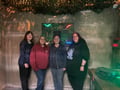 store/u/c70b938a-1aff-480a-b797-a697dcd7f630_133.jpg