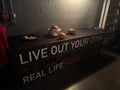 store/u/c71f82c9-0222-421b-b01d-f00661ab8547_133.jpg