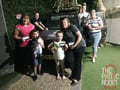 store/u/ee8e468b-d05a-4036-b587-416377912d54_133.jpg