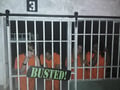 store/u/f1b0d273-6d0e-4be8-909e-6c7f07f20f80_133.jpg
