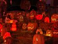 store/u/f2a1a2a2-35ea-4827-bd94-d3ecfbb53516_133.jpg