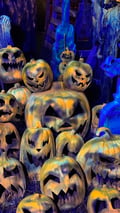 store/u/f7d4c784-2683-46e4-a7ce-8b4f5e46e83e_56.jpg