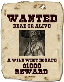 Wanted Dead or Alive