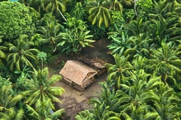 Jungle Ransom