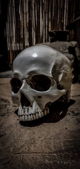 Inbrott På Museet A [The Museum Heist A]