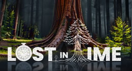 Lost in Time