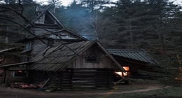 Cursed Cabin