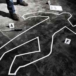Zbrodnia [Crime]