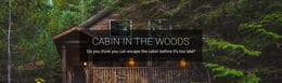 Cabin In The Woods