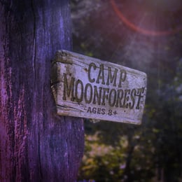Camp Moonforest