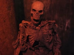 Piedmont Avenue Pumpkin Patch Haunted House