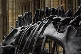 The Museum Heist