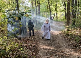 Tadmor's Haunt