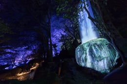 A Forest Where Gods Live [Immersive Art]