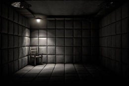 The Asylum