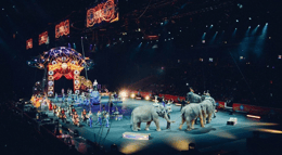 Circus Room