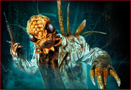Infestation