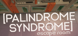 Palindrome Syndrome