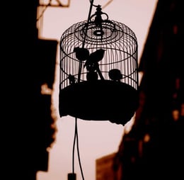 El Espía Minero [The Mining Spy ]