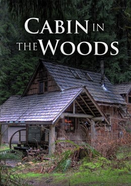Cabin In The Woods