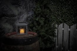 Flickan I Skogen [The Girl In The Woods]