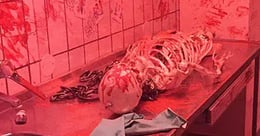 Mentalsykenhuset [Mental Hospital]
