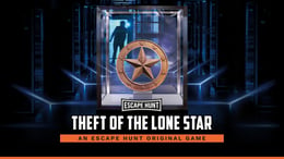 Theft Of The Lone Star