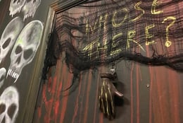 The Shadow’s Nest
