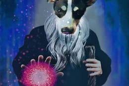 WizardQuest
