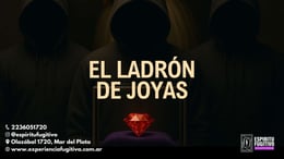 Ladrón de Joyas