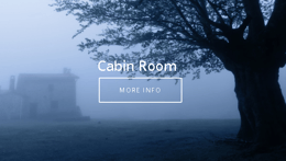 The Cabin