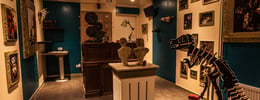 Night at the Museum