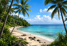 Castaway Island Escape Room