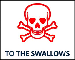 Swallos and Amazons