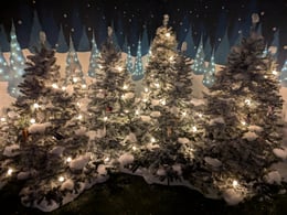 Magical Menagerie: A Christmas Adventure