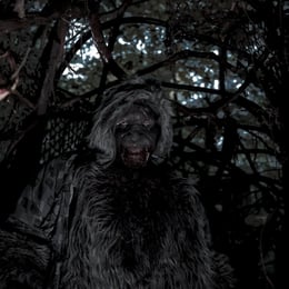 Forest of Fear
