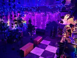 Forlorn Fairyland