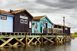 The Bait Shop