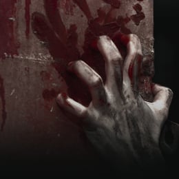 Disturbed